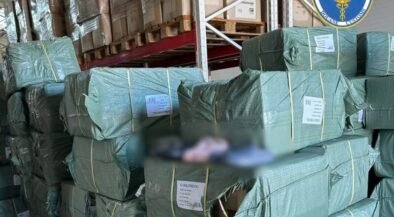Stacks of green-wrapped bundles on wooden pallets in a warehouse, with a Romanian customs logo visible in the top right corner and labels on the bundles.