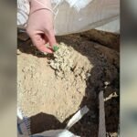 Close-up of a hand with green nail polish pinching loose brown soil inside a woven bag or sack edge.