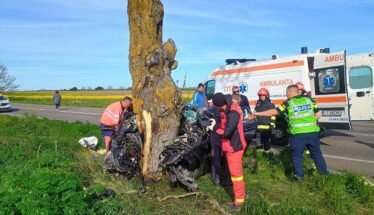 Emergency responders work at a car crash scene by a damaged vehicle against a tree; an ambulance is parked on a rural road.