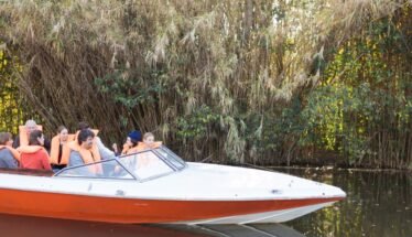 People wearing orange life jackets ride a white-and-orange speedboat along a calm river with tall reeds in the background.