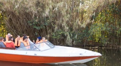 People wearing orange life jackets ride a white-and-orange speedboat along a calm river with tall reeds in the background.