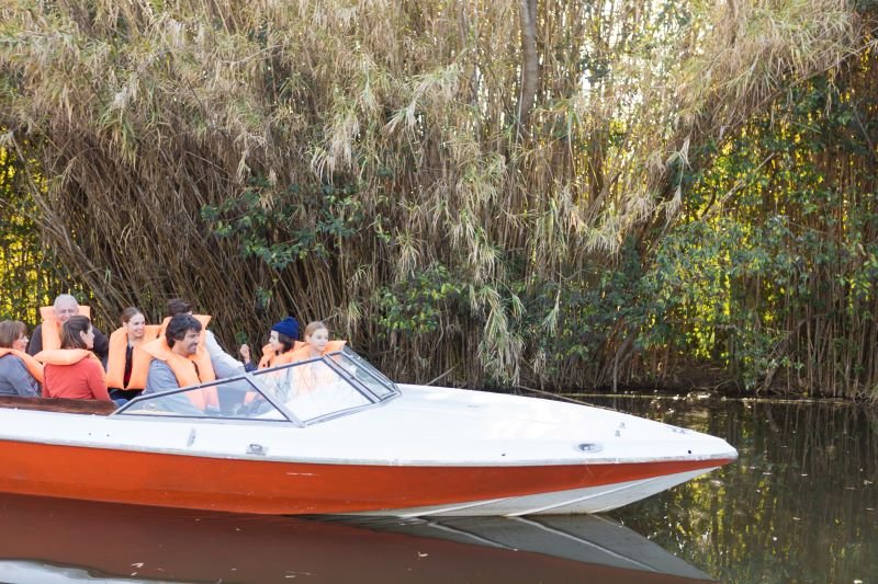 People wearing orange life jackets ride a white-and-orange speedboat along a calm river with tall reeds in the background.