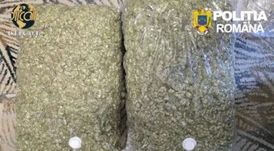 Two large resealable bags filled with chopped green plant material on a patterned surface, with Romanian police logos visible (D.I.I.C.O.T. and Politia Romana).