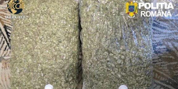 Two large resealable bags filled with chopped green plant material on a patterned surface, with Romanian police logos visible (D.I.I.C.O.T. and Politia Romana).