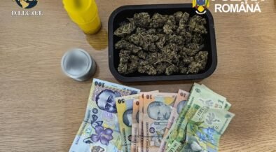 Cannabis buds in a black tray on a wooden table with a yellow cap and a small jar nearby; police logos in the corner.