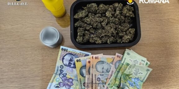 Cannabis buds in a black tray on a wooden table with a yellow cap and a small jar nearby; police logos in the corner.