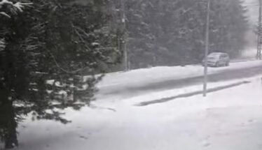 Snowy forest road with a silver car driving along a plowed strip amid tall evergreen trees.