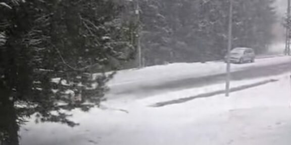 Snowy forest road with a silver car driving along a plowed strip amid tall evergreen trees.