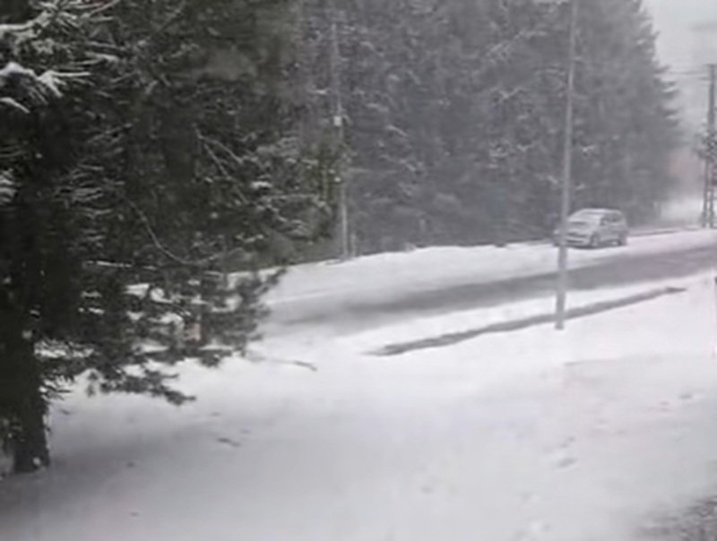Snowy forest road with a silver car driving along a plowed strip amid tall evergreen trees.