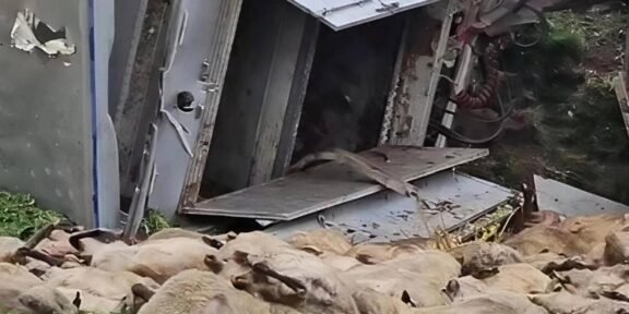 Several sheep lie dead on the grass beside a broken, tilted metal structure or vehicle.