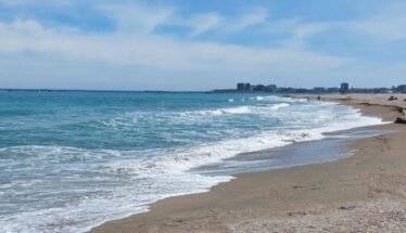 Sunny beach with gentle waves washing onto the sandy shore under a blue sky, distant city skyline on the horizon.]","Wide view of a turquoise sea meeting a sandy beach, with a distant coastal city row of buildings.