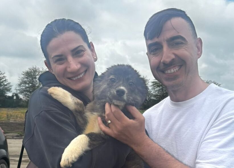 Smiling couple holding a fluffy puppy outdoors against a cloudy skyp