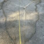Large fishing net spread flat on a concrete surface, with a central knot and a yellow measuring tape laid along its length for scale.