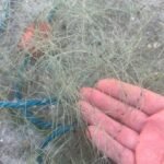 Close-up of a hand holding a tangle of thin fishing line or net strands.