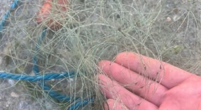 Close-up of a hand holding a tangle of thin fishing line or net strands.