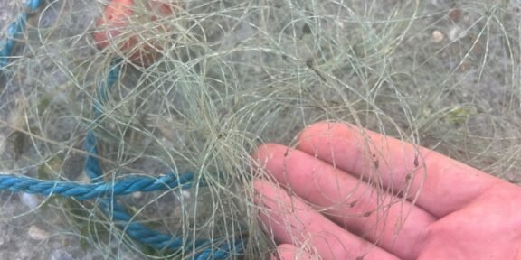 Close-up of a hand holding a tangle of thin fishing line or net strands.