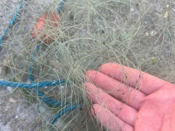 Close-up of a hand holding a tangle of thin fishing line or net strands.