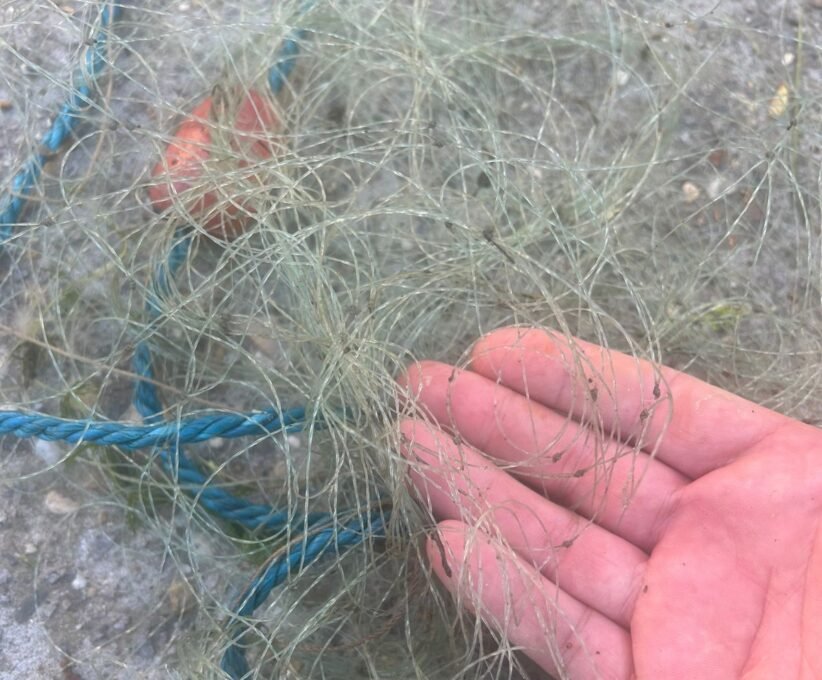 Close-up of a hand holding a tangle of thin fishing line or net strands.