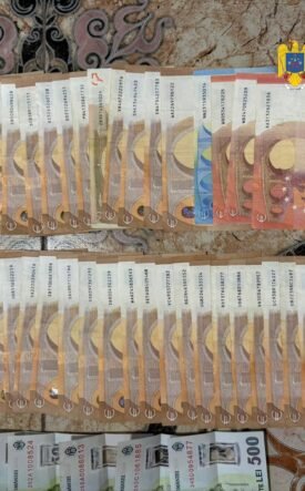 Seized euro banknotes arranged in two long rows on a patterned surface, with police logos in the corner.