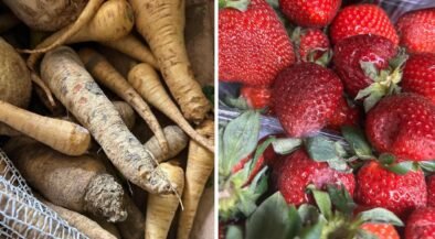 Left side shows dirt-covered parsnips and root vegetables piled together; right side shows ripe red strawberries with green leaves.