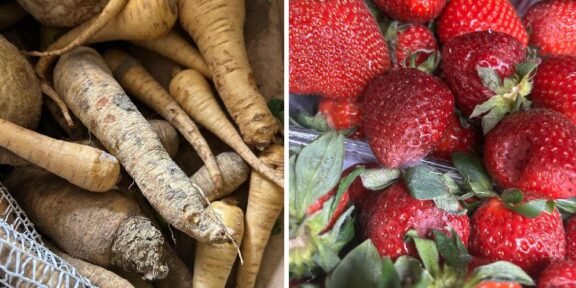 Left side shows dirt-covered parsnips and root vegetables piled together; right side shows ripe red strawberries with green leaves.