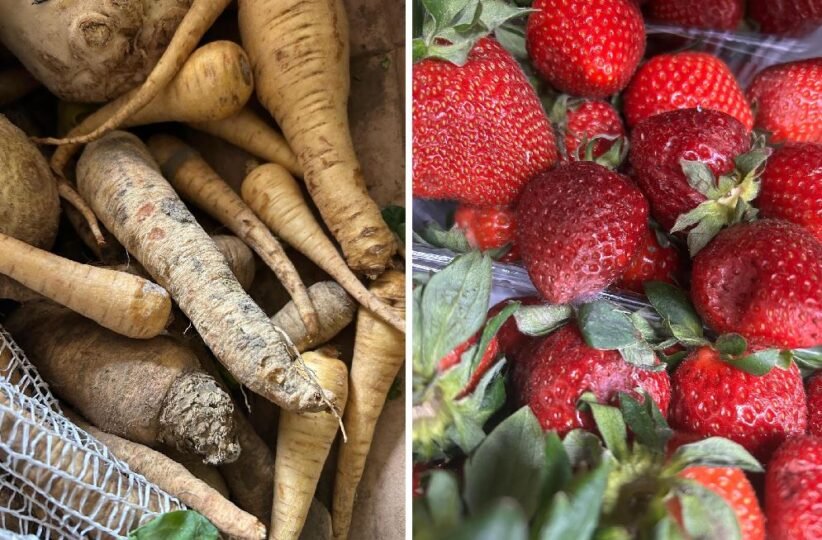 Left side shows dirt-covered parsnips and root vegetables piled together; right side shows ripe red strawberries with green leaves.
