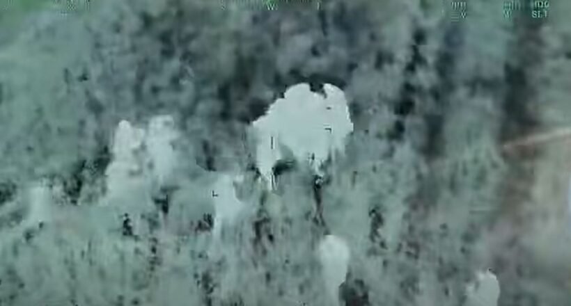 Blurry aerial view of a dense forest with pale, irregular patches in the foreground.