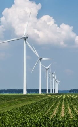 Row of tall white wind turbines stretching across a flat green farm under a blue sky with fluffy clouds