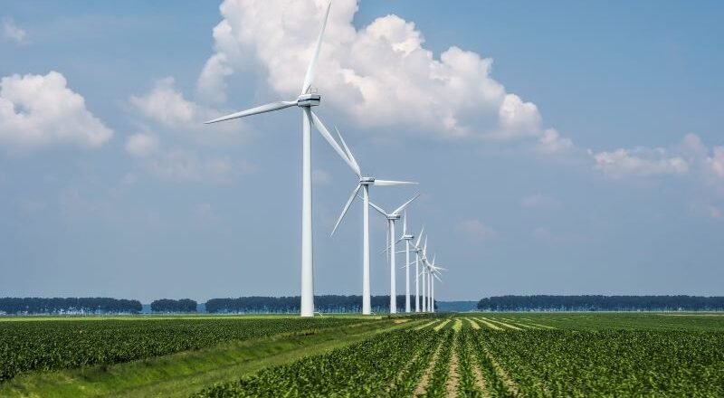 Row of tall white wind turbines stretching across a flat green farm under a blue sky with fluffy clouds