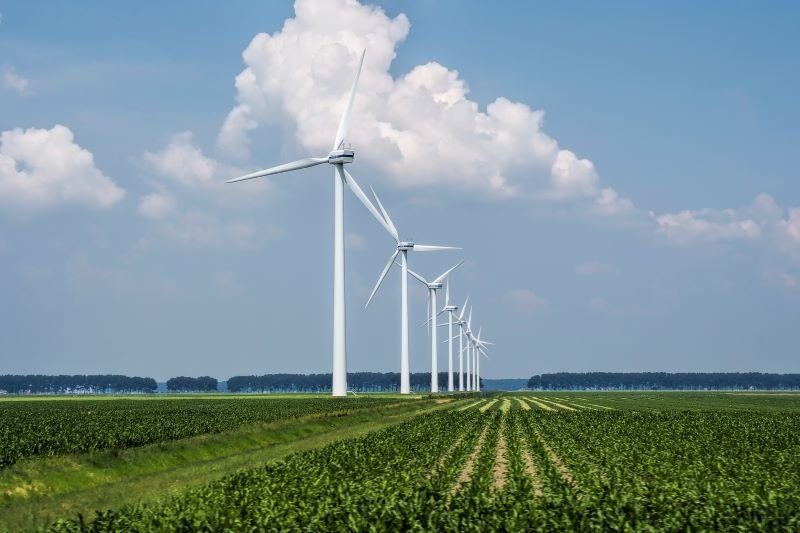 Row of tall white wind turbines stretching across a flat green farm under a blue sky with fluffy clouds