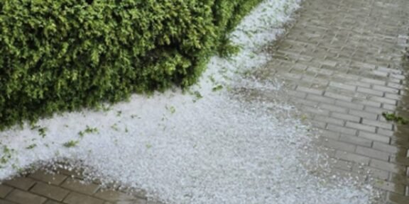 White hailstones scattered along a brick sidewalk beside a trimmed green hedge after a storm.