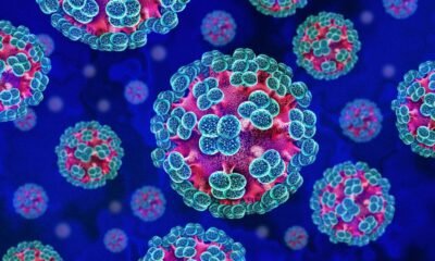 Colorized illustration of multiple spherical viruses with blue spike proteins on a blue background, showing a cluster of coronavirus-like particles.