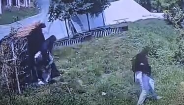 Two people in a grassy yard near a wooden fence and a white tent; one person stands by the fence while another walks uphill through tall grass
