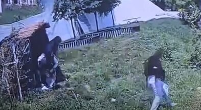 Two people in a grassy yard near a wooden fence and a white tent; one person stands by the fence while another walks uphill through tall grass