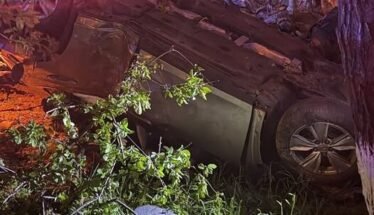 Upside-down car crashed in a wooded area at night with trees and grass around, purple emergency lights nearby.
