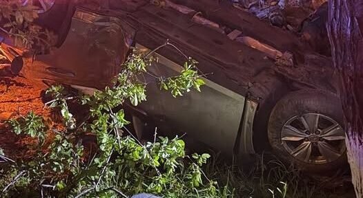Upside-down car crashed in a wooded area at night with trees and grass around, purple emergency lights nearby.