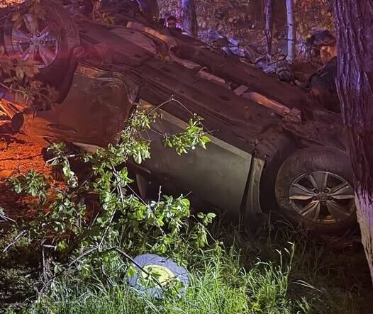 Upside-down car crashed in a wooded area at night with trees and grass around, purple emergency lights nearby.