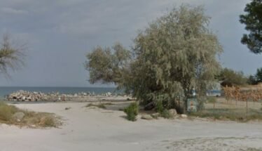 A sandy coastal scene with a large tree near a fenced area, calm sea in the background and a rocky jetty extending into the water at left.