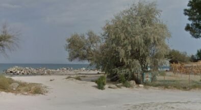 A sandy coastal scene with a large tree near a fenced area, calm sea in the background and a rocky jetty extending into the water at left.