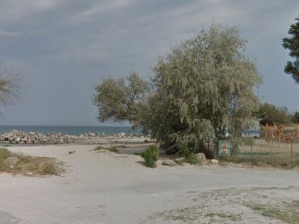 A sandy coastal scene with a large tree near a fenced area, calm sea in the background and a rocky jetty extending into the water at left.