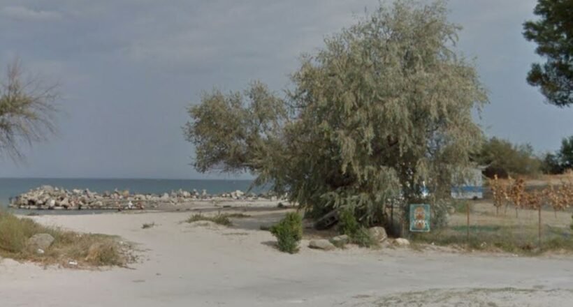A sandy coastal scene with a large tree near a fenced area, calm sea in the background and a rocky jetty extending into the water at left.