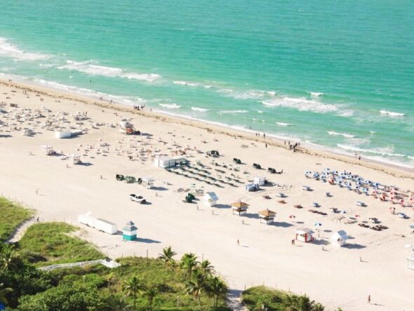 Aerial view of a sunny beach with turquoise water, rows of umbrellas and lounge chairs on the sand, and a palm‑lined promenade in the foreground.