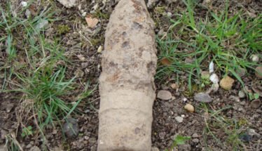 Weathered, bone-like object partially buried in soil with grass nearby.