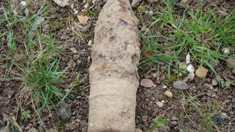 Weathered, bone-like object partially buried in soil with grass nearby.