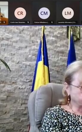 Video conference screenshot: a woman in a patterned blouse sits at a desk, with flags behind her and participants along the top thumbnails.