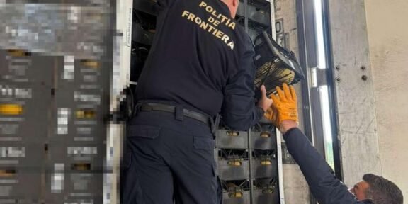 Border police officers in uniform fix an equipment rack inside a transport vehicle.