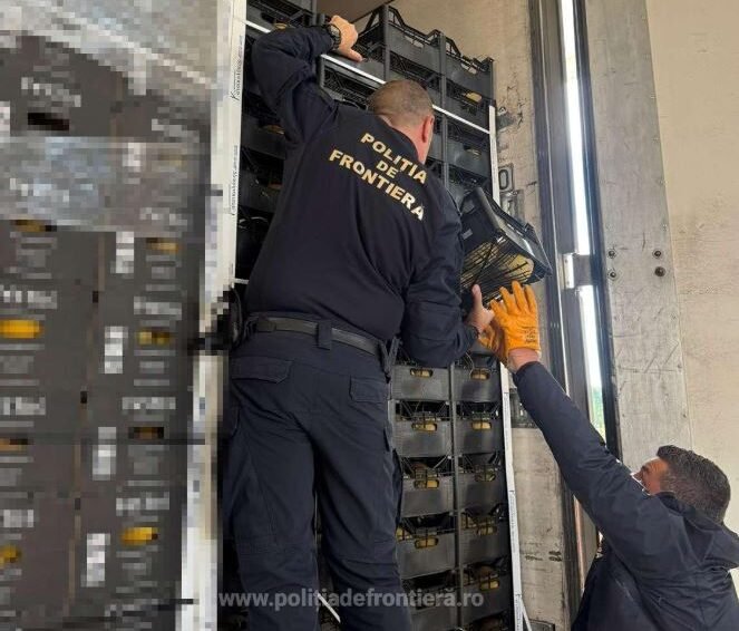 Border police officers in uniform fix an equipment rack inside a transport vehicle.