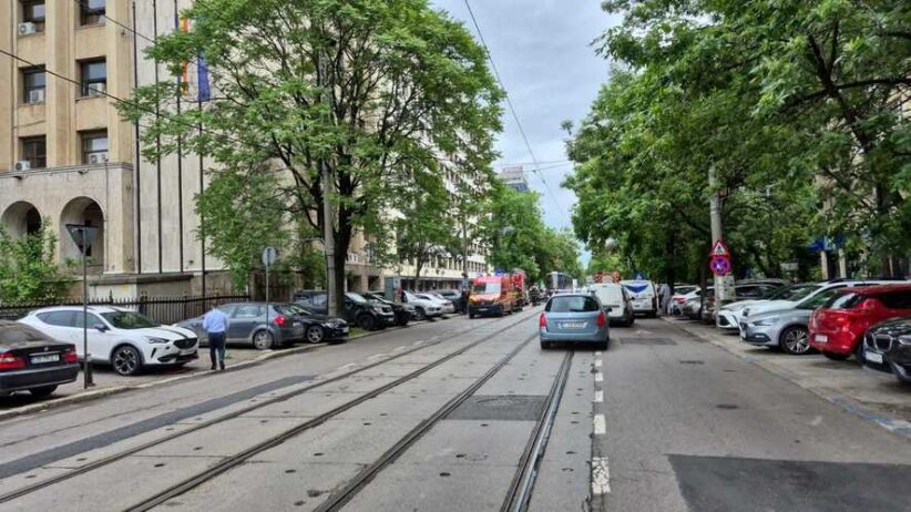 City street with tram tracks down the middle, parked cars on both sides, and a beige building on the left with green trees lining the sidewalk.
