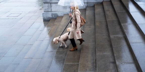 Woman in a beige trench coat walks a small fluffy dog on a leash up wet stone steps while holding a clear umbrella in the rain.