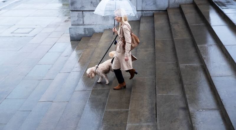 Woman in a beige trench coat walks a small fluffy dog on a leash up wet stone steps while holding a clear umbrella in the rain.